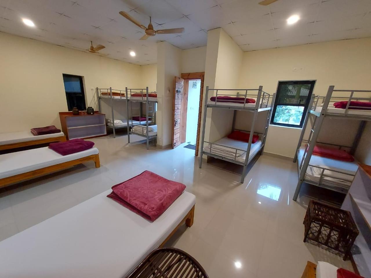 Tadoba Tiger Valley Resort Tadoba Mohurli ภายนอก รูปภาพ