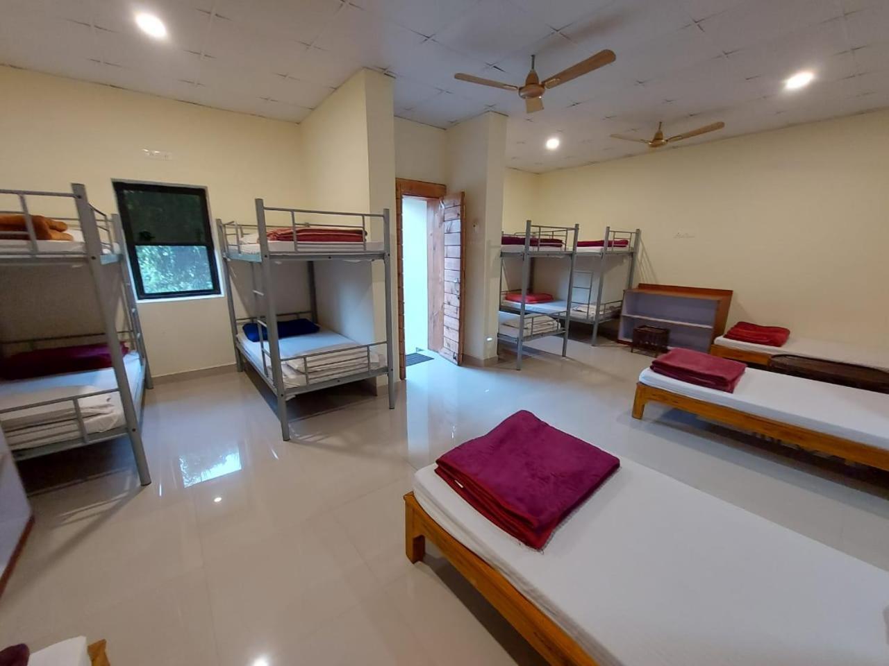 Tadoba Tiger Valley Resort Tadoba Mohurli ภายนอก รูปภาพ